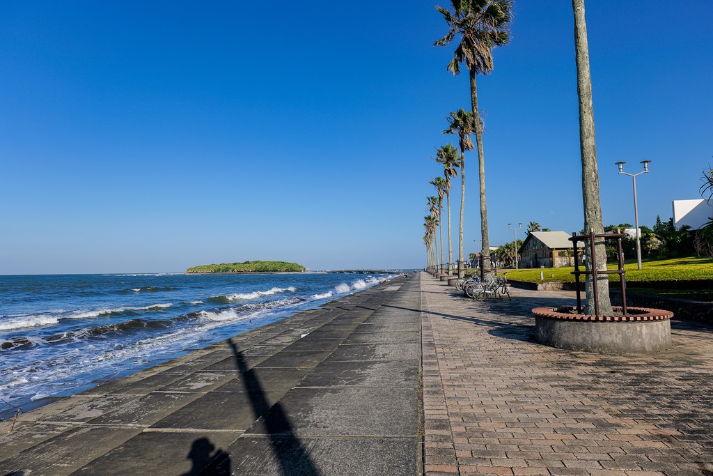Palm-lined Aoshima coastal promenade