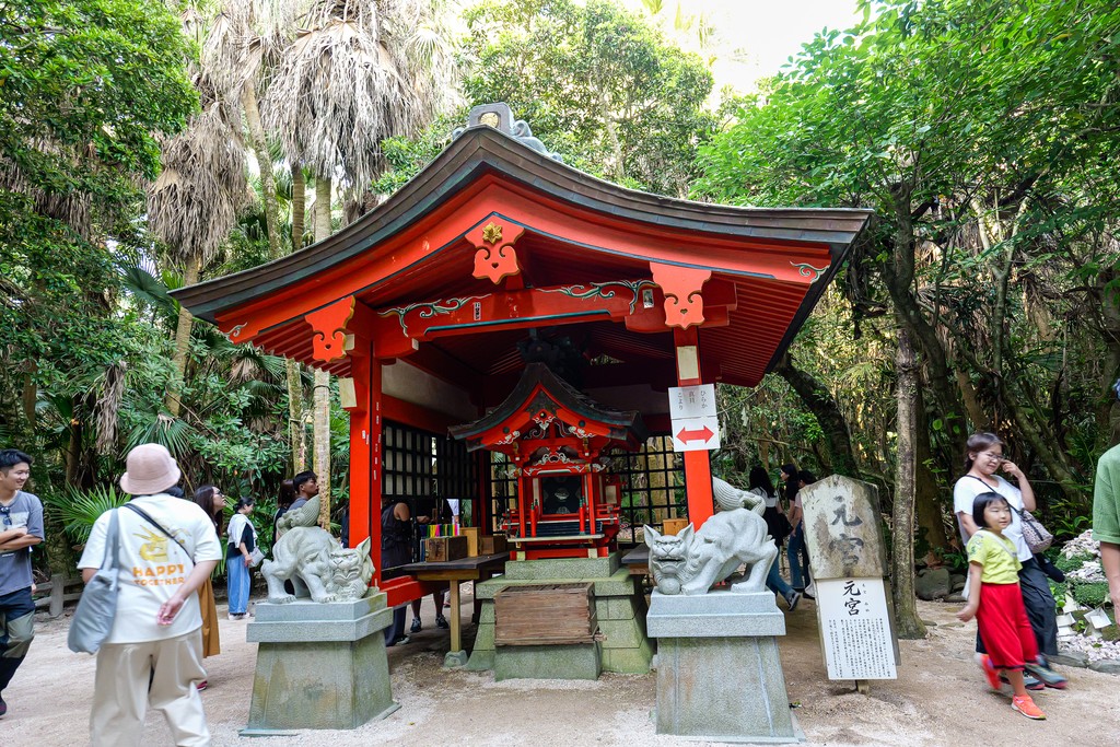 Motomiya in subtropical forest