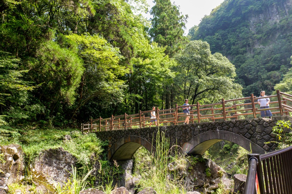 Stone bridge surrounded by trees above the gorge