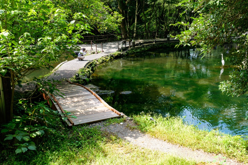 Pond and waterside path near Takachiho Gorge