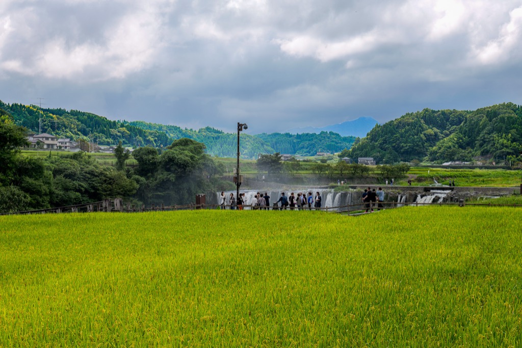 Harajiri Falls appearing beyond the rice fields