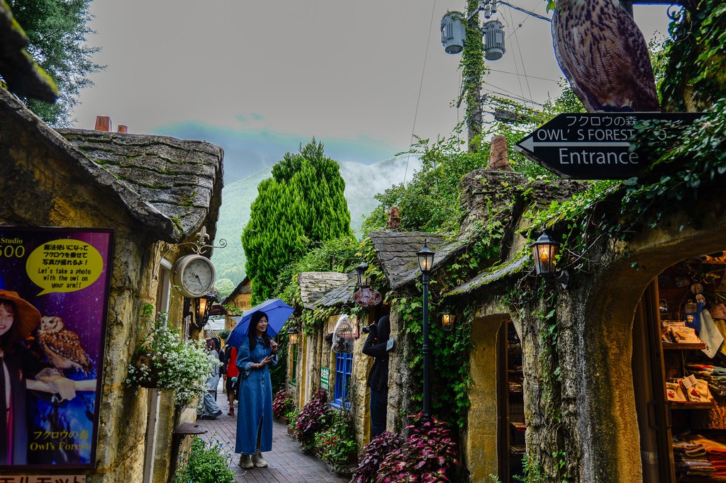 Floral Village alley with stone cottages, thatched roofs, ivy and an Owl's Forest entrance sign