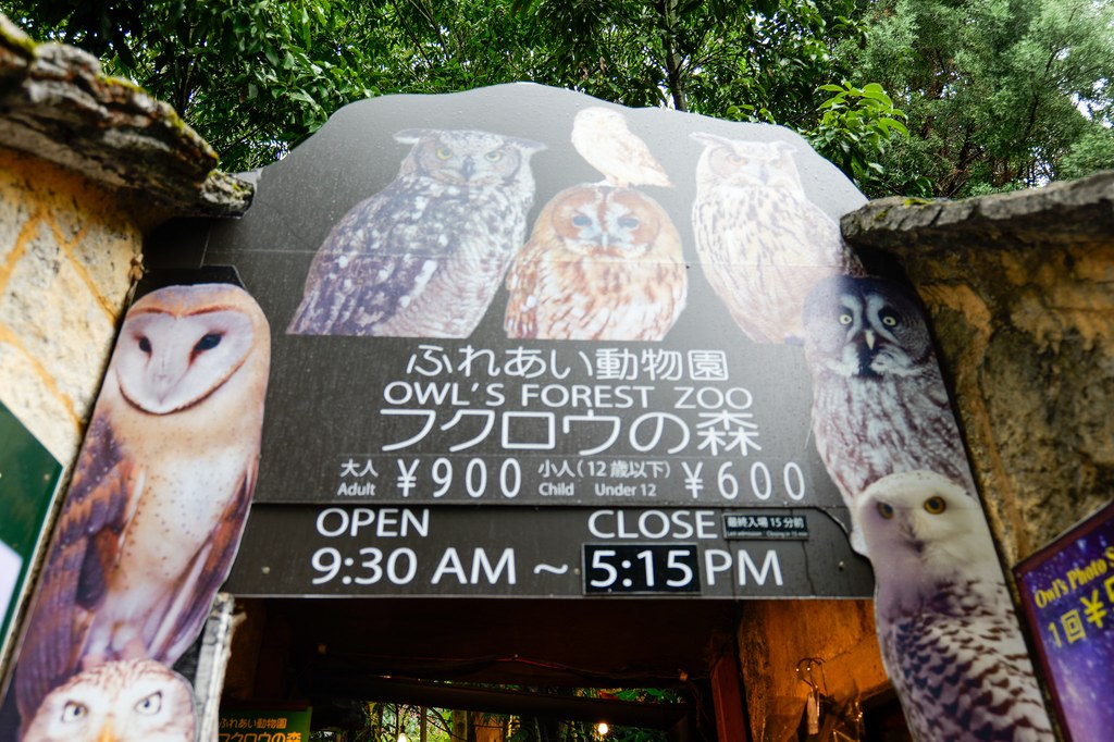 Owl's Forest entrance signboard showing owl species and pricing Adult 900 yen Under 12 600 yen with opening hours